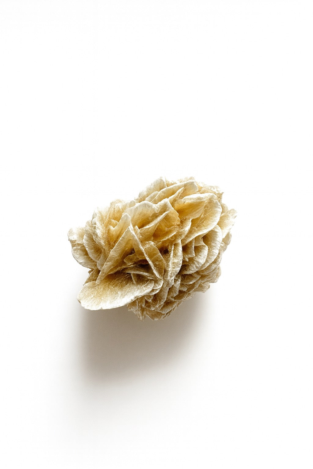 Pierre Brute Rose des sables blancs